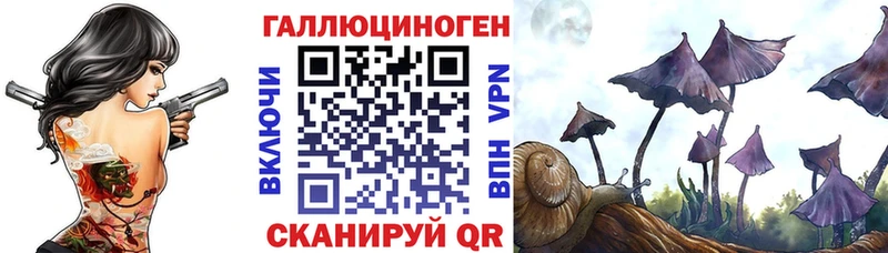 Псилоцибиновые грибы мухоморы  купить  сайты  Закаменск 